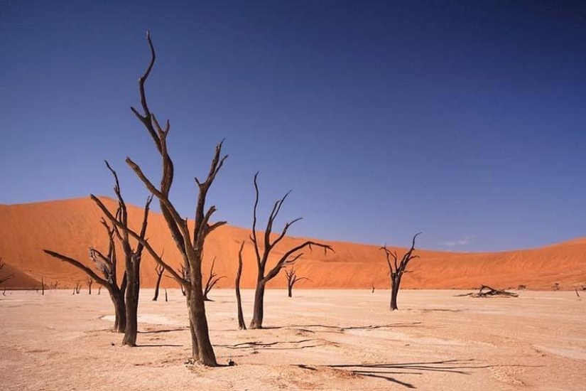 Surreal landscapes of Namib-Naukluft Park