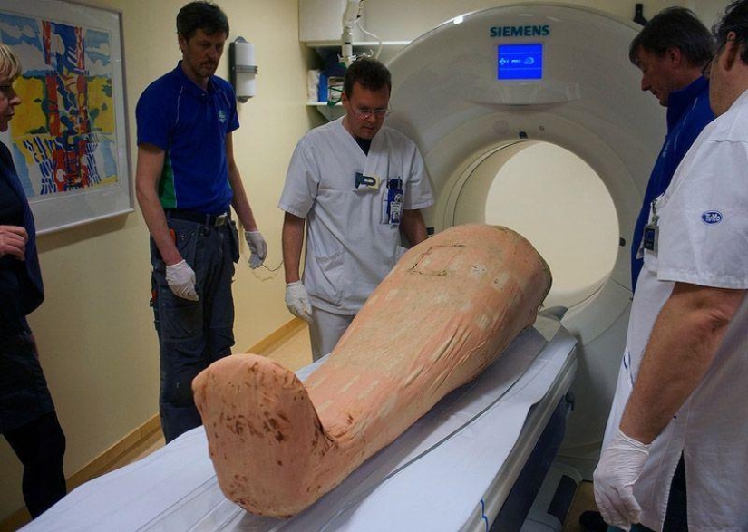 Swedes bring mummies back to life with digital technology