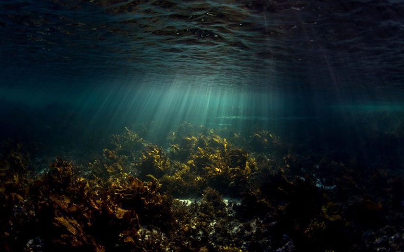 Synchronicity: the underwater world of Mikaela Skovranova