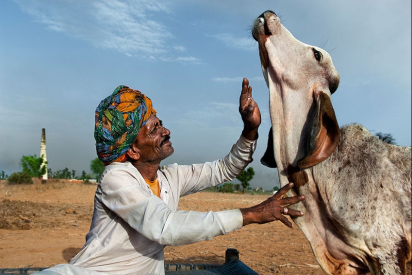Tú y yo somos de la misma sangre: 35 increíbles fotografías de personas y animales de Steve McCurry