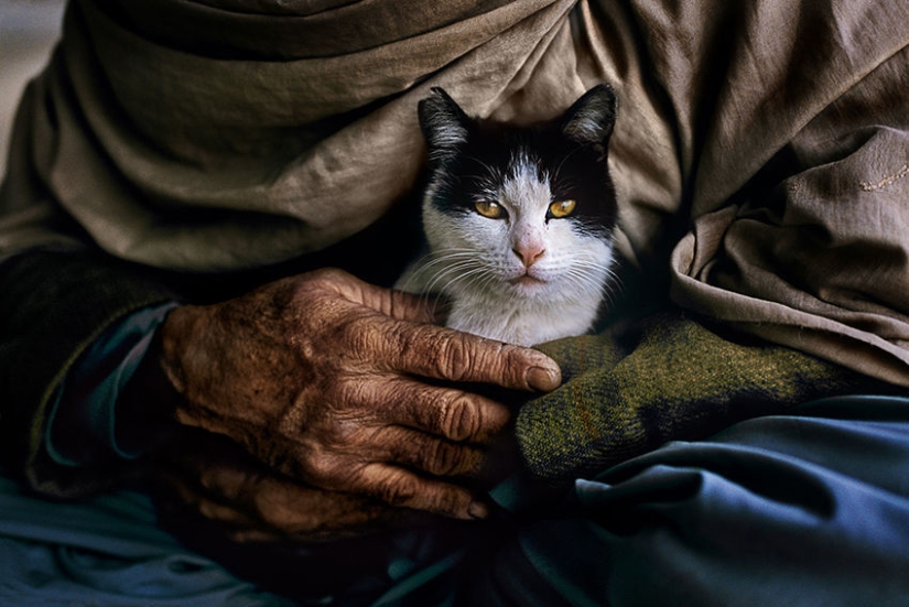 Tú y yo somos de la misma sangre: 35 increíbles fotografías de personas y animales de Steve McCurry
