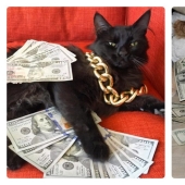 Tarjetas, dinero, dos barril: 20 gangsteritto fotos de instagram