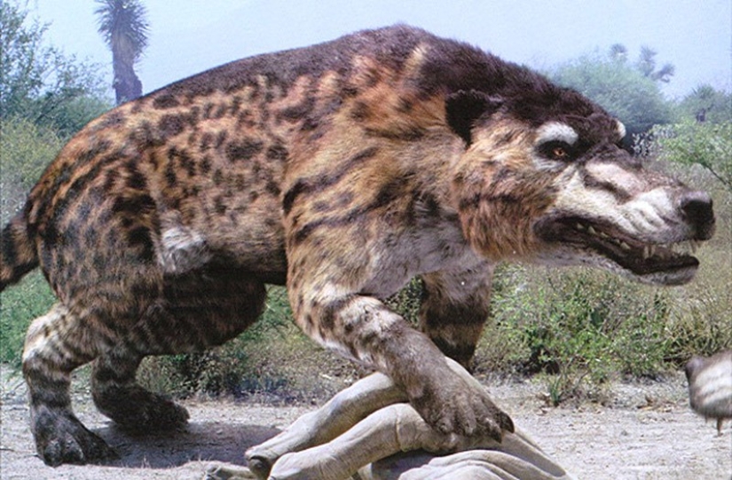 Thank God, they are extinct! 25 awful creatures who once inhabited Earth