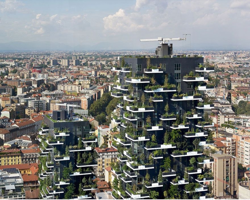 The 117-meter tower will be the first building in the world to be covered with evergreen trees.