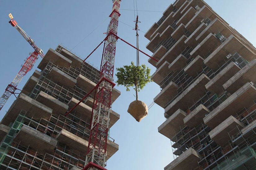 The 117-meter tower will be the first building in the world to be covered with evergreen trees.