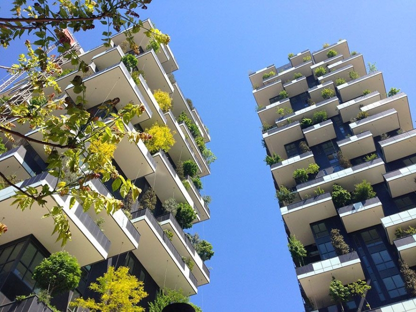 The 117-meter tower will be the first building in the world to be covered with evergreen trees.