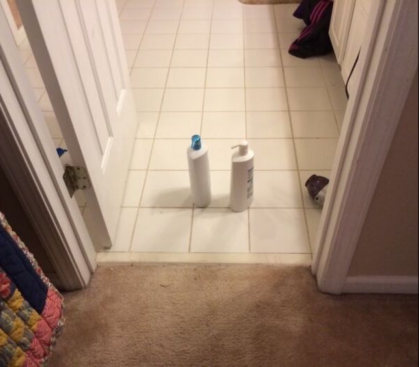 The 22 most impressive examples of chronic laziness