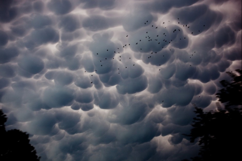 the 50 most beautiful clouds in the world