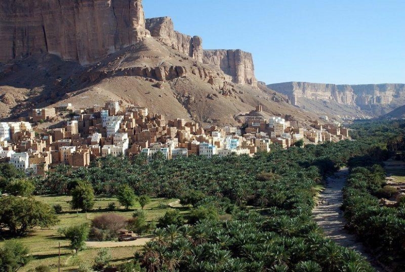 The amazing island of Socotra