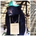 The amazing story of the Cocaine Bear — a bear who ate 34 kilos of smuggled cocaine