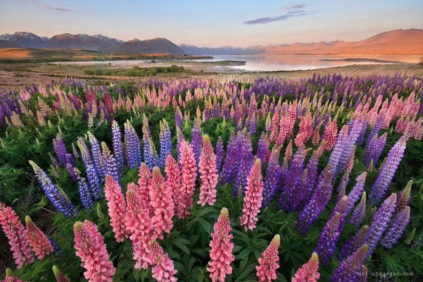 The beauty of New Zealand landscapes in the lens of Chris Jean