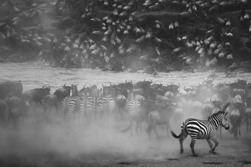The best black and white photos of 2016