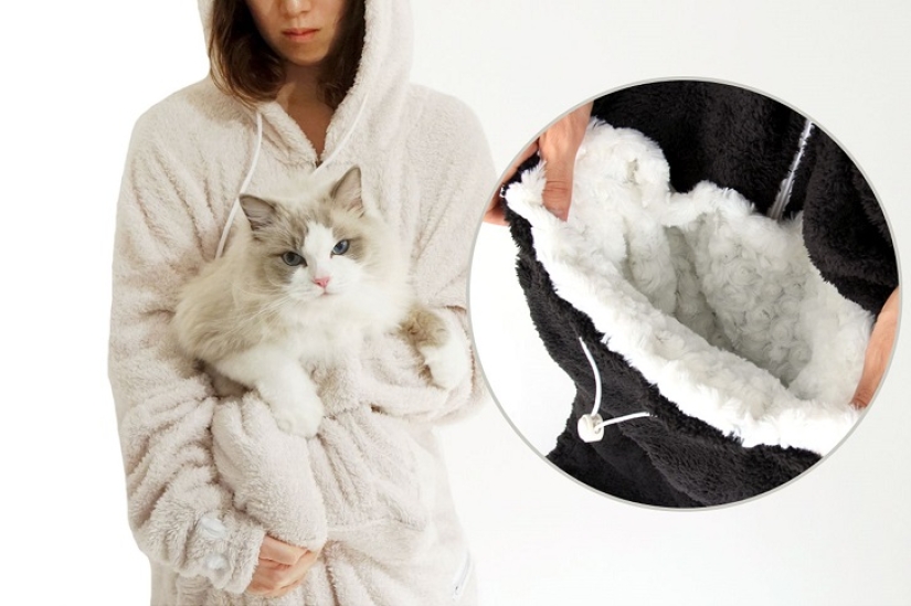 The best gift for a cat owner for the New Year!