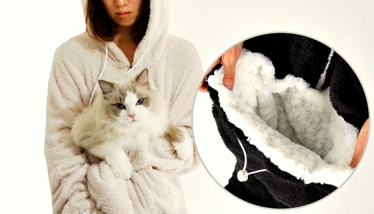 The best gift for a cat owner for the New Year!