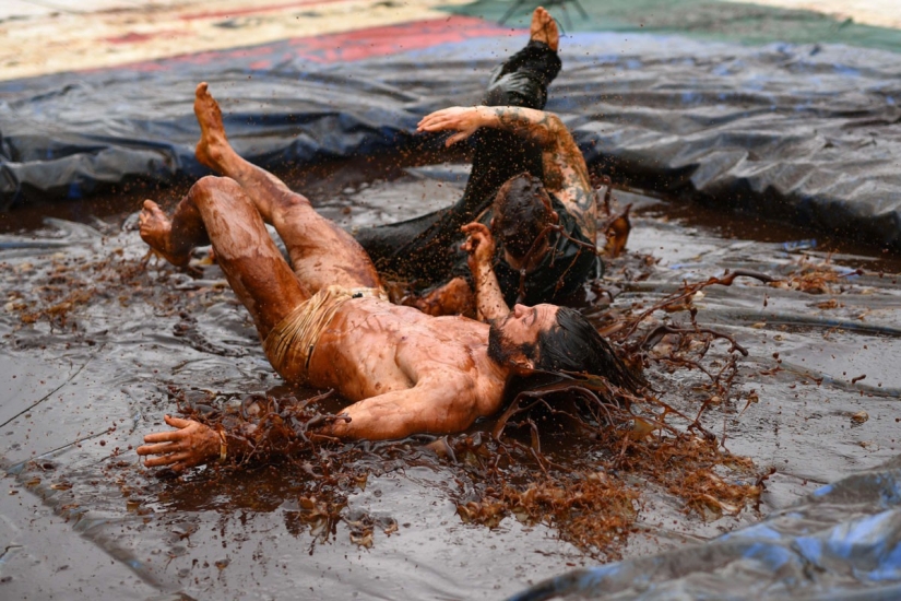 The British are going crazy - in England there was a championship in gravy wrestling