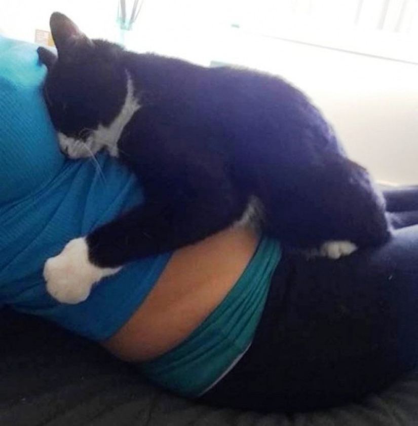 The cat fell in love with the baby before birth, and now protects him