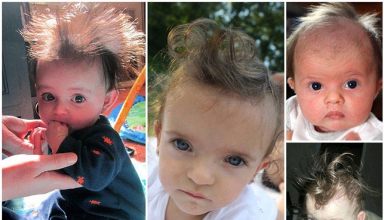 The competition for the strangest hairstyles among kids