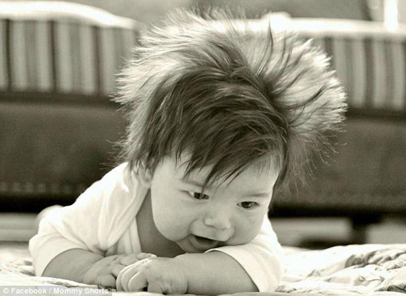 The competition for the strangest hairstyles among kids
