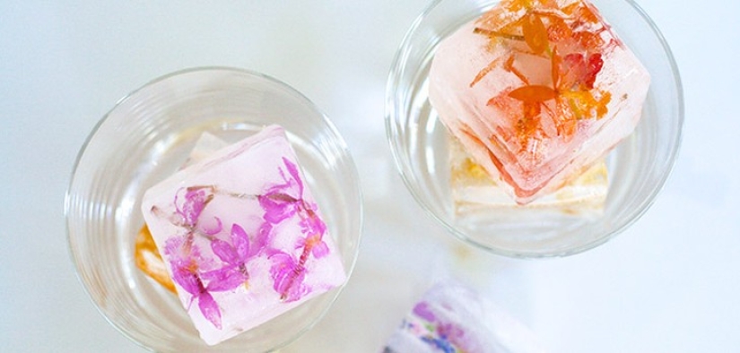 The coolest ways to use Ice Molds