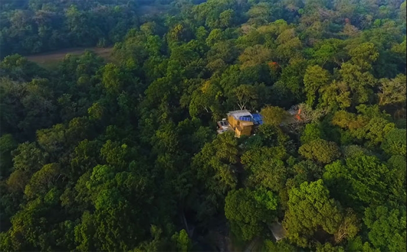 The couple spent 30 years restoring the reserve, replanting the rainforest