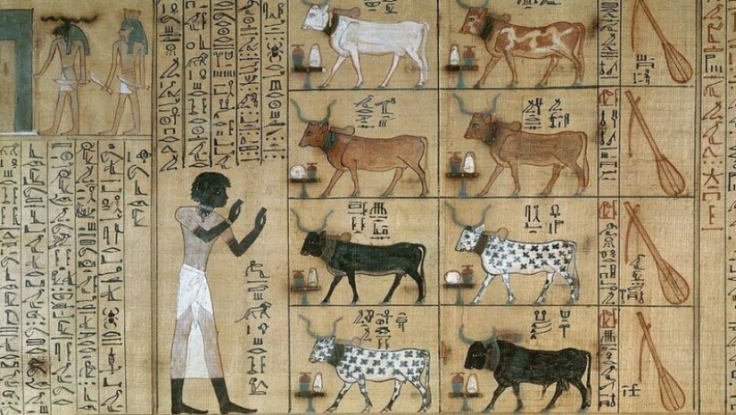 The Court in Ancient Egypt: how to punish for various crimes in the time of the pharaohs