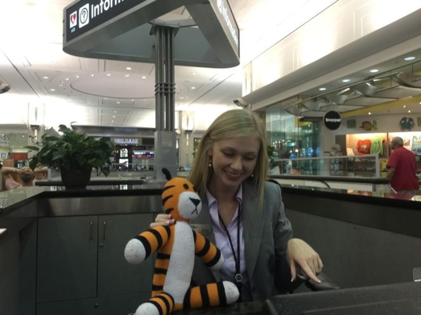 The Crazy Adventures of a Forgotten Tiger at Tampa Airport