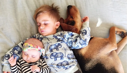 The cutest sleeping trio The cutest sleeping trio