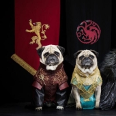 The cutest version of Game of Thrones