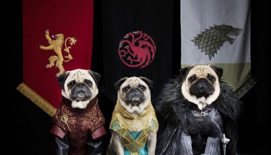 The cutest version of Game of Thrones