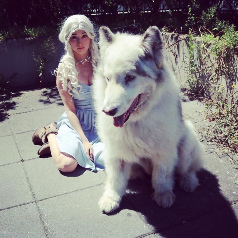 The direwolves from Game of Thrones exist!