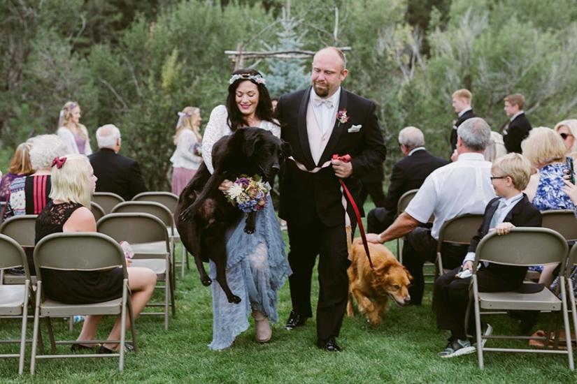 The dying dog lived to see the wedding of his beloved mistress