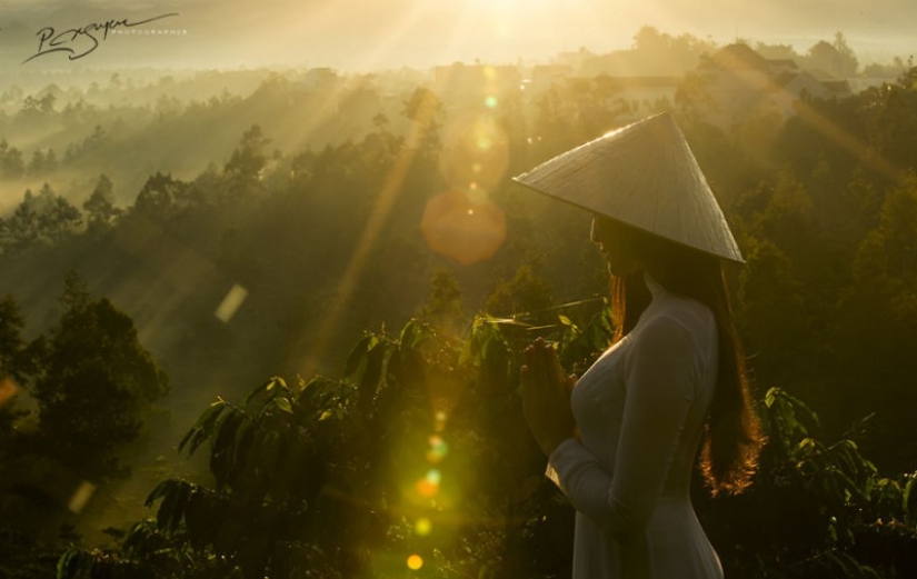 The enchanting beauty of Vietnam