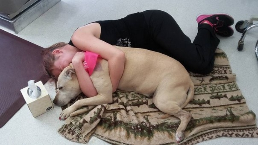 The girl arranged a farewell day for her beloved seriously ill dog before euthanasia