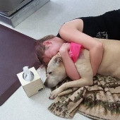 The girl arranged a farewell day for her beloved seriously ill dog before euthanasia