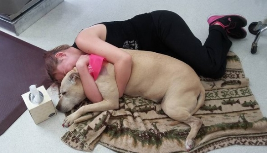 The girl arranged a farewell day for her beloved seriously ill dog before euthanasia