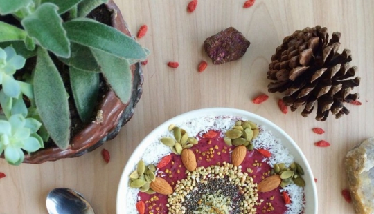 The girl creates real works of art from her vegan dishes