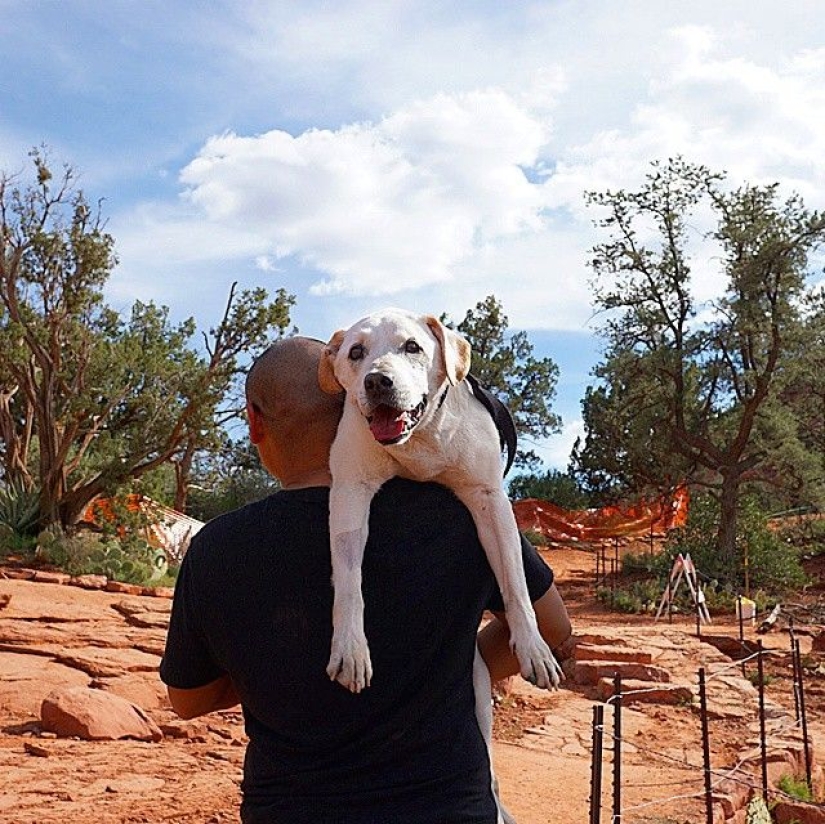 The guy went on a trip with his dog, knowing that this is their last adventure