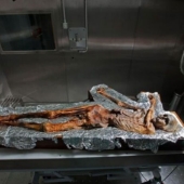 The "Ice Man" is the oldest mummy found in Europe