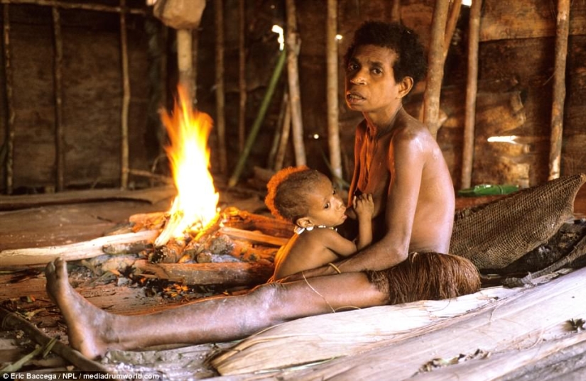 The Korowai are a mysterious tribe of cannibals who have recently learned about civilization