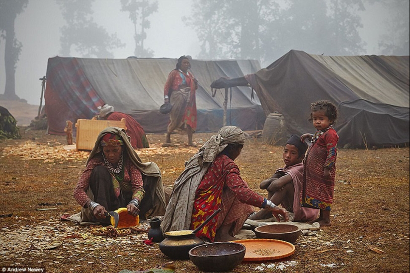 The Last hunters and Gatherers: the life of a primitive tribe in Nepal
