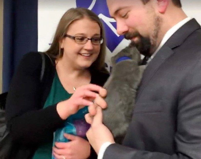 The lover proposed with the help of the kitten Gandalf from the shelter