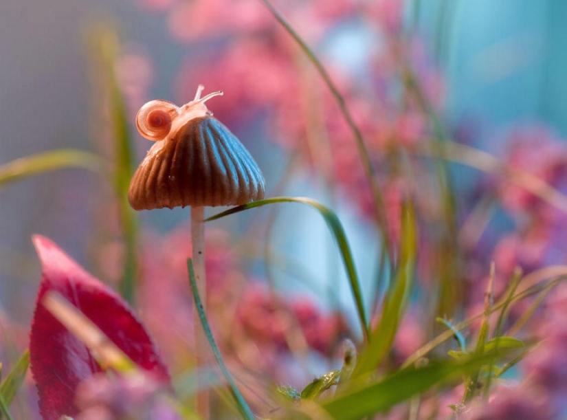 The magic of macro photography by Magdalena Vasicek