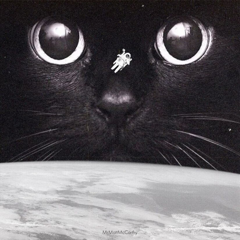 The master of Photoshop has shown what the world will be like if it is captured by cats