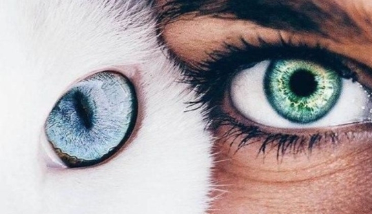 The mirror of the soul: what can you tell us about the human eye