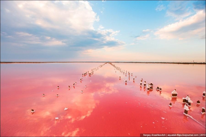 The most beautiful desert in the world