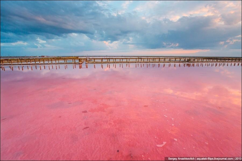 The most beautiful desert in the world