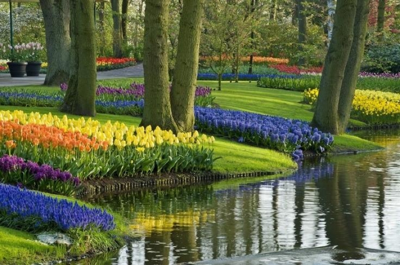 The most beautiful flower plantations and parks in the world