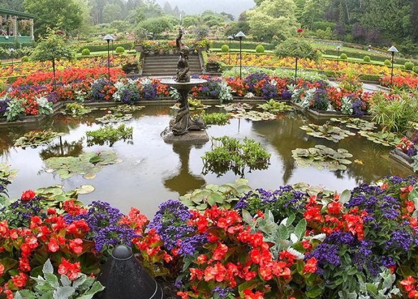 The most beautiful flower plantations and parks in the world