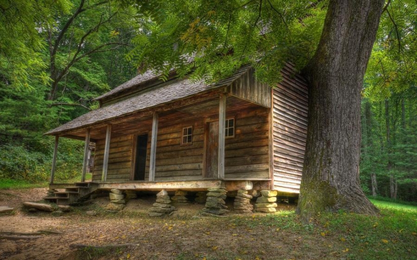 The most beautiful houses in the forest