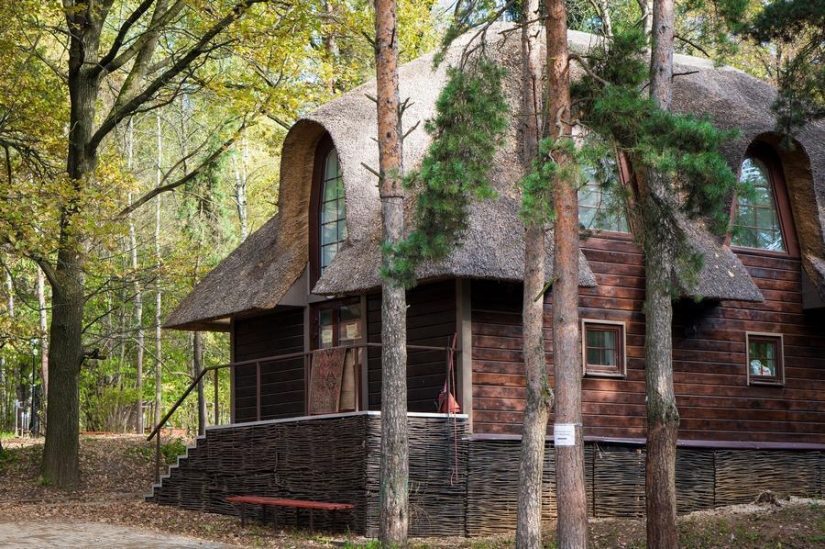 The most beautiful houses in the forest